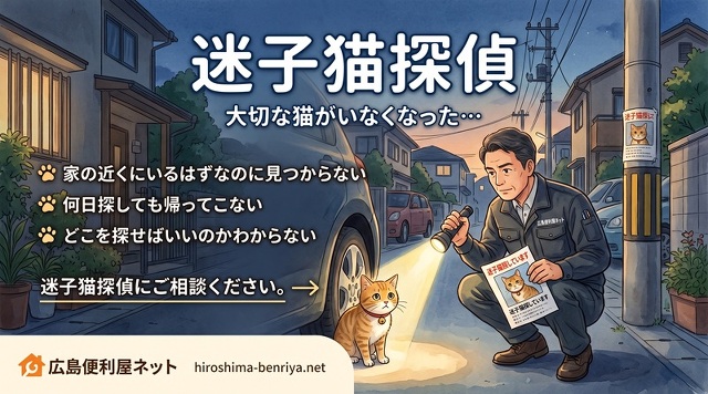 迷子猫探偵（迷子猫・脱走猫の捜索）